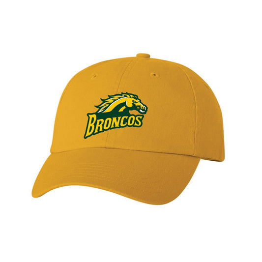 Brooke Central Adult Bio-Washed Classic Dad Hat