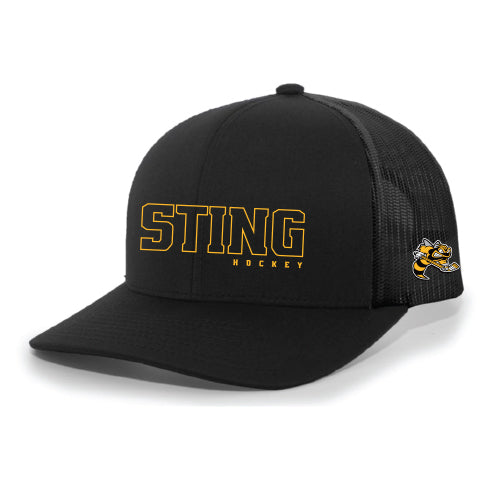 Sarnia Sting Youth Snap Back Hat