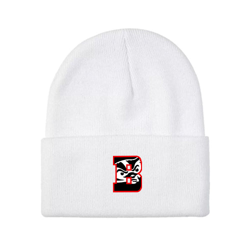 Bridgeview Everyday Knit Toque