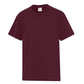 #color_maroon