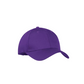 #color_purple