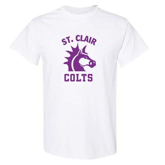 Vintage Lambton - St Clair Colts