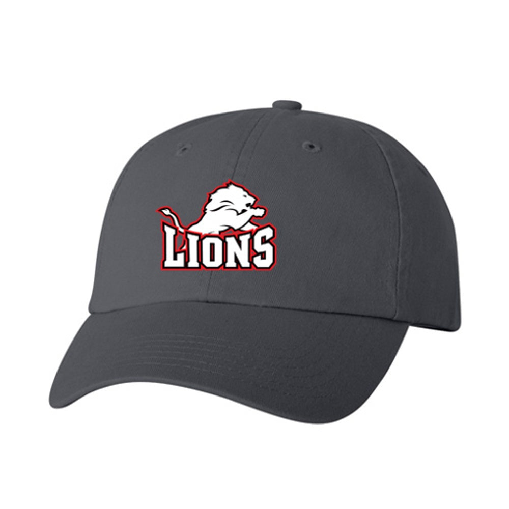 Victor Lauriston Adult Bio-Washed Classic Dad Hat